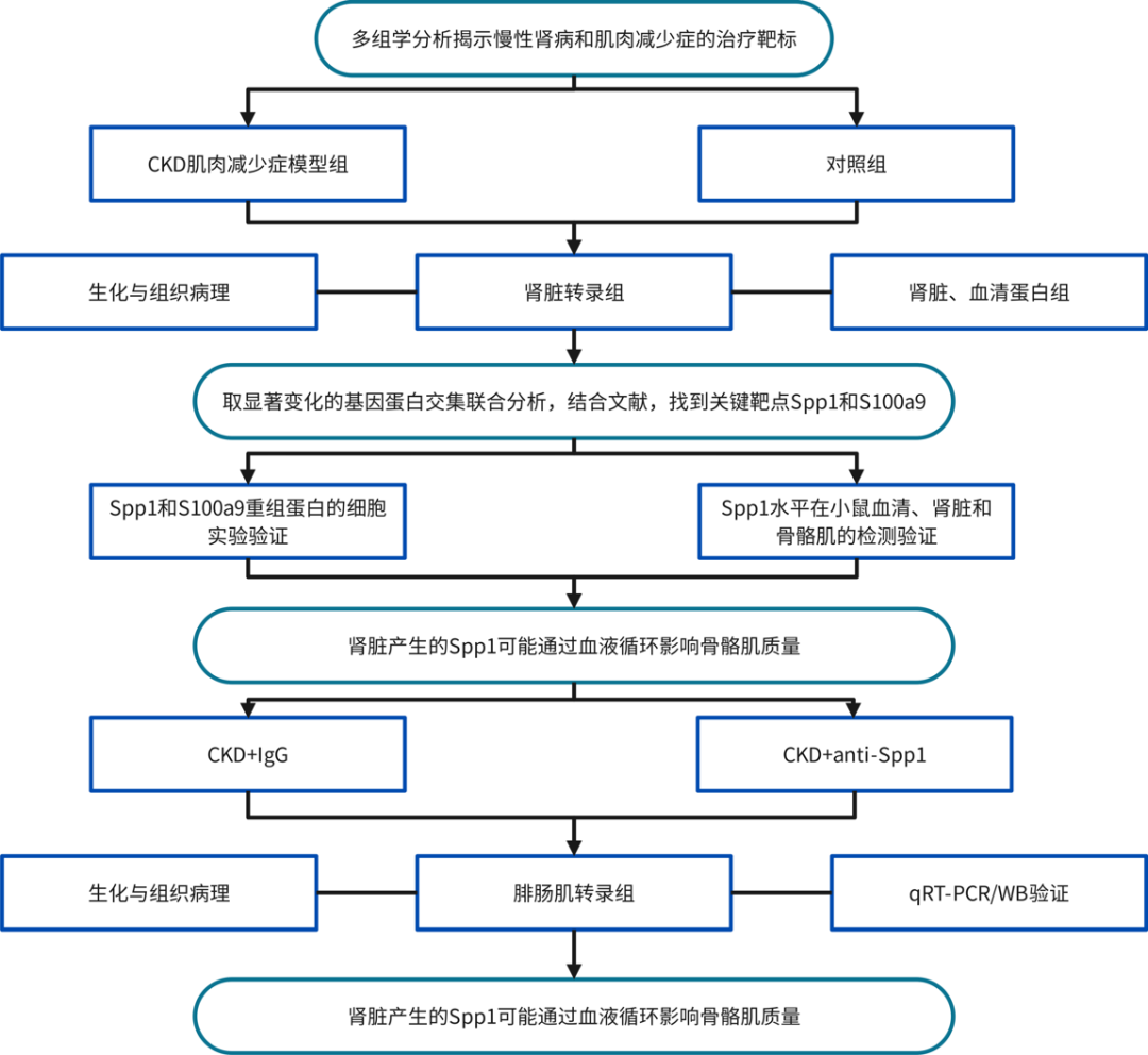 圖片2-.png