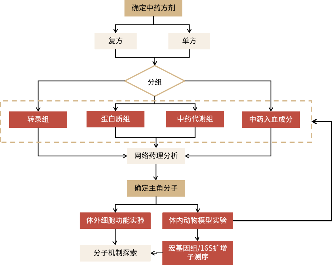 方劑圖片.png